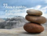Magnet na lednici - Cesta k úspěchu je vydlážděná trpělivostí a vytrvalostí. - Sri Chinmoy - Magnety Magnet na lednici - Cesta k úspěchu je vydlážděná trpělivostí a vytrvalostí.