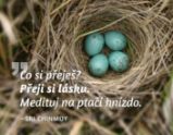 Magnet na lednici - Co si přeješ? Přeji si lásku. Medituj na ptačí hnízdo. - Sri Chinmoy - Magnety Magnet na lednici - Co si přeješ? Přeji si lásku. Medituj na ptačí hnízdo.