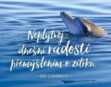 Magnet na lednici - Neplýtvej dnešní radostí přemýšlením o zítřku - Sri Chinmoy - Magnety Magnet na lednici - Neplýtvej dnešní radostí přemýšlením o zítřku