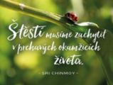 Plechová cedulka - Štěstí musíme zachytit - Sri Chinmoy - Tipy na dárky Plechová cedulka - Štěstí musíme zachytit
