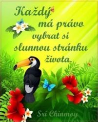 Plechová cedulka - Každý má právo vybrat si slunnou stránku života Plechová cedulka - Každý má právo vybrat si slunnou stránku života