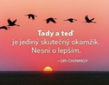 Magnet na lednici - Tady a teď je jediný skutečný okamžik. Nesmi o lepším. - Sri Chinmoy - Magnety Magnet na lednici - Tady a teď je jediný skutečný okamžik. Nesmi o lepším.