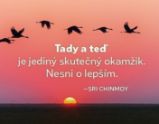 Magnet na lednici - Tady a teď je jediný skutečný okamžik. Nesmi o lepším. - Sri Chinmoy - Magnety Magnet na lednici - Tady a teď je jediný skutečný okamžik. Nesmi o lepším.