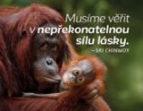 Magnet na lednici - Musíme věřit v nepřekonatelnou sílu lásky. - Sri Chinmoy - Magnety Magnet na lednici - Musíme věřit v nepřekonatelnou sílu lásky.