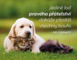 Magnet na lednici - Jedině loď pravého přátelství dokáže přestát všechny bouře. Magnet na lednici - Jedině loď pravého přátelství dokáže přestát všechny bouře.