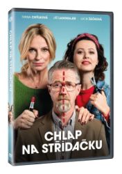 Chlap na střídačku DVD - Filmy Chlap na střídačku DVD