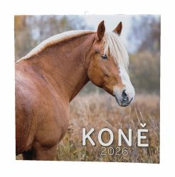Koně 2026 - nástěnný kalendář - Nástěnné kalendáře Koně 2026 - nástěnný kalendář