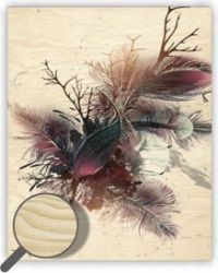 Obraz dřevěný: Feathers, 240 x 300 - Plakáty Obraz dřevěný: Feathers, 240x300