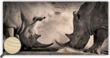 Obraz dřevěný: Rhinos, 605x315 Obraz dřevěný: Rhinos, 605x315