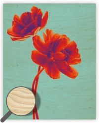 Obraz dřevěný: Tulip, 240x300 - Plakáty Obraz dřevěný: Tulip, 240x300