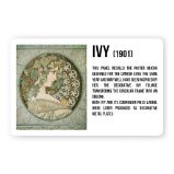 Magnet Alfons Mucha - Ivy Magnet Alfons Mucha - Ivy