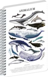 Spirálový blok Animalium - Pod mořem, linkovaný, A4