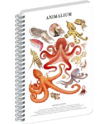 Spirálový blok Animalium - Hlavonožci, linkovaný, A5
