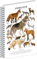 Spirálový blok Animalium - Psovité šelmy, linkovaný, A4