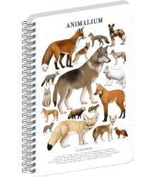 Spirálový blok Animalium - Psovité šelmy, linkovaný, A5