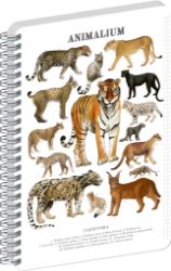 Spirálový blok Animalium - Kočkovité šelmy, čtverečkovaný, A5