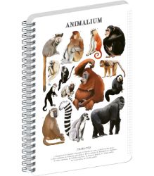 Spirálový blok Animalium - Primáti, čtverečkovaný, A4
