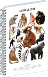 Spirálový blok Animalium - Primáti, čtverečkovaný, A5 - Bloky A5 Spirálový blok Animalium - Primáti, čtverečkovaný, A5
