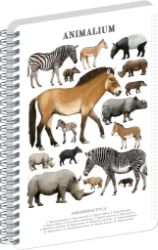 Spirálový blok Animalium - Lichokopytníci, čtverečkovaný, A4