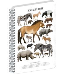 Spirálový blok Animalium - Lichokopytníci, čtverečkovaný, A5