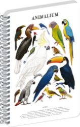 Spirálový blok Animalium - Ptáci, čistý, A4