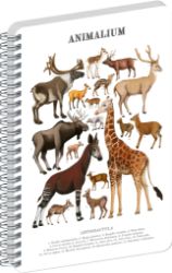 Spirálový blok Animalium - Sudokopytníci, čistý, A4