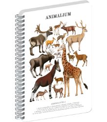 Spirálový blok Animalium - Sudokopytníci, čistý, A5
