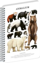 Spirálový blok Animalium - Medvědovité šelmy, čistý, A4