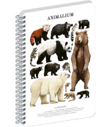 Spirálový blok Animalium - Medvědovité šelmy, čistý, A5