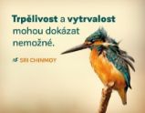 Magnet na lednici "Trpělivost a vytrvalost" - Sri Chinmoy - Magnety Magnet na lednici "Trpělivost a vytrvalost"