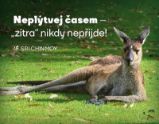 Magnet na lednici "Neplýtvej časem" - Sri Chinmoy - Magnety Magnet na lednici "Neplýtvej časem"