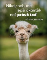 Magnet na lednici "Nikdy nebude lepší čas" - Sri Chinmoy - Magnety Magnet na lednici "Nikdy nebude lepší čas"