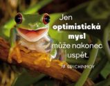 Magnet na lednici "Jen optimistická mysl může nakonec uspět" Magnet na lednici "Jen optimistická mysl může nakonec uspět"