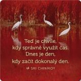 Korkový podtácek s citátem "Teď je chvíle, kdy správně využít čas. Dnes je den, kdy začít 