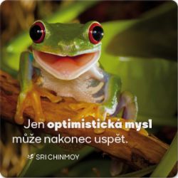 Korkový podtácek s citátem "Jen optimistická mysl může nakonec uspět" Korkový podtácek s citátem "Jen optimistická mysl může nakonec uspět"