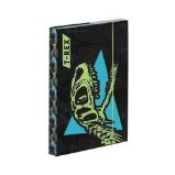 Box na sešity A5 - T-rex - Školní desky a boxy Box na sešity A5 - T-rex