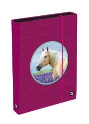Box na sešity A4 Jumbo - Oxy Sherpy Pink - Školní desky a boxy Box na sešity A4 Jumbo - Oxy Sherpy Pink