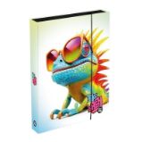 Box na sešity A4 Jumbo Chameleon Box na sešity A4 Jumbo Chameleon