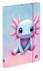 Box na sešity A5 Axolotl Box na sešity A5 Axolotl