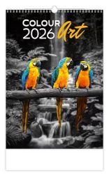 Kalendář nástěnný 2026 - Colour Art - Nástěnné kalendáře Colour Art 2026 - nástěnný kalendář