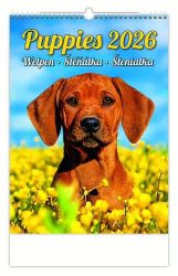 Kalendář nástěnný 2026 - Puppies/Welpen/Štěňátka/Šteniatka - Nástěnné kalendáře Štěňátka 2026 - nástěnný kalendář