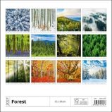 Kalendář nástěnný 2027 - Forest/Wald/Les - Nástěnné kalendáře Les 2027 - nástěnný kalendář