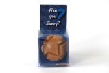 Recenttoys Hlavolam - Are you Savvy - Hlavolamy Recenttoys Hlavolam Are you Savvy?