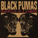 LP Black Pumas - Chronicles of a Diamond (Diamond White Vinyl) - Světový Soul a Funk na vinylu LP Black Pumas - Chronicles of a Diamond (Diamond White Vinyl)