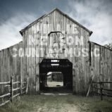LP NELSON WILLIE - COUNTRY MUSIC LP NELSON WILLIE - COUNTRY MUSIC