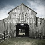 CD NELSON WILLIE - COUNTRY MUSIC