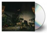 CD THE PLOT IN YOU