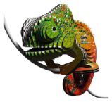 EUGY 3D kartonová skládačka - Chameleon - 3D a 4D puzzle EUGY 3D kartonová skládačka - Chameleon