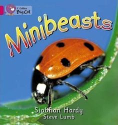 Minibeasts : Band 01a/Pink a Minibeasts : Band 01a/Pink a