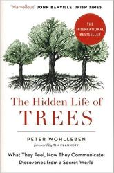 The Hidden Life of Trees - Knihy o vědě v angličtině The Hidden Life of Trees